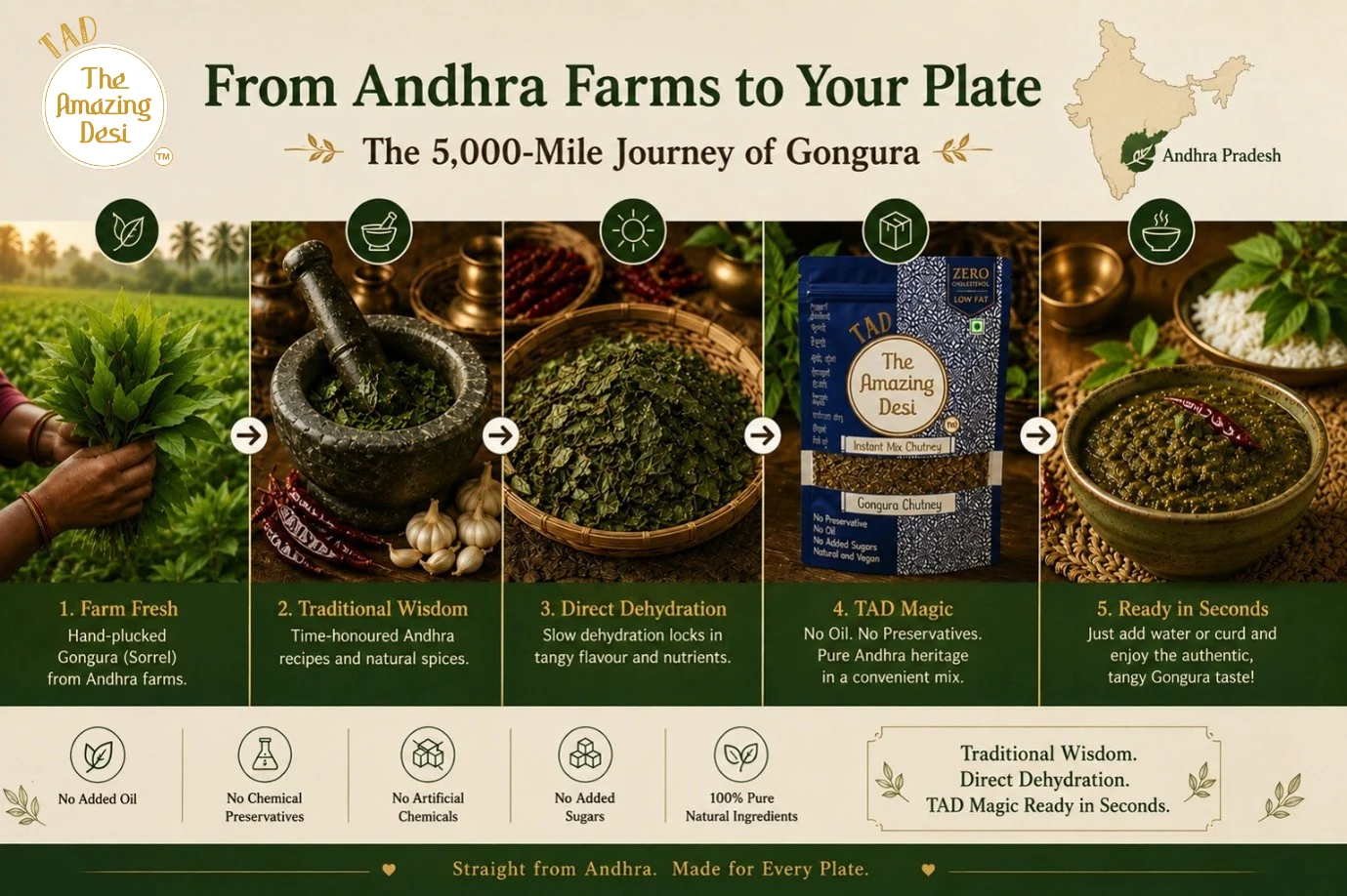Infographic tracing the farm-to-plate journey of TAD Gongura chutney, from hand-plucked sorrel leaves in Andhra farms to a ready-in-seconds traditional mix.